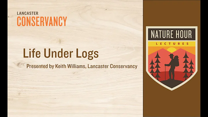 Nature Hour: Life Under Logs