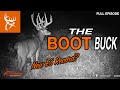 The boot buck  rocheys biggest with a bow  buck commander  full episode