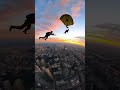Watch This Working Dog Nail a Rooftop Circle Landing
