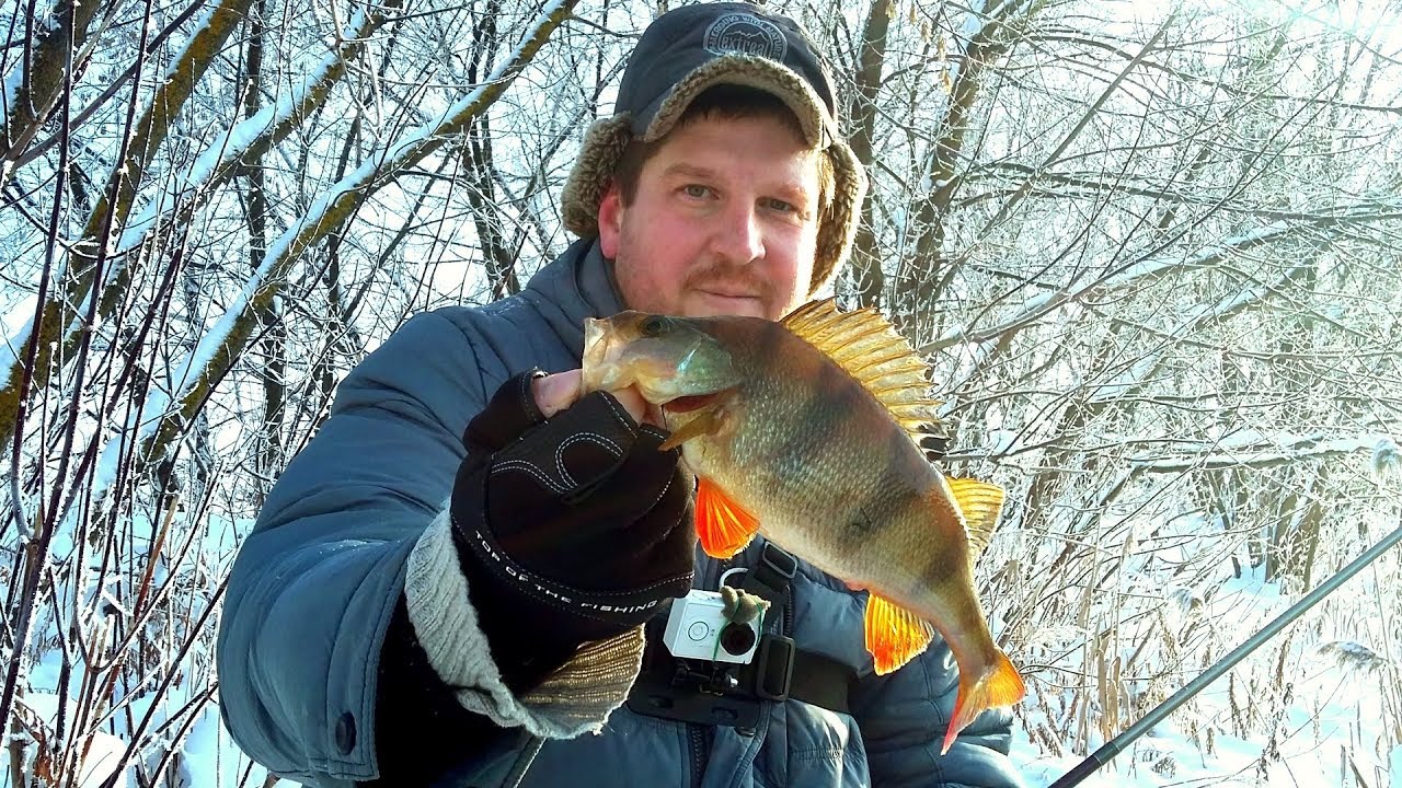 Вот это окушки на новую резину! Зимний спиннинг! Приманки Snasti Good!