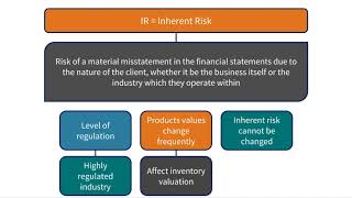 Audit Risk mp4