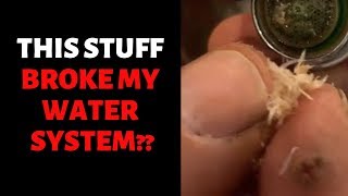 weird fibres destroy my water system (can i fix it?) - bailey line life #18