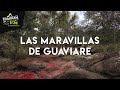 EL MÁGICO RÍO DE COLORES DE GUAVIARE, COLOMBIA || CaminanTr3s, El tercero eres tú!