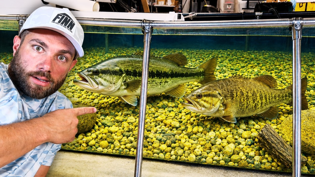 I Built a TANK to Study BASS…After Just 14 Days I Couldn't Believe What I Saw