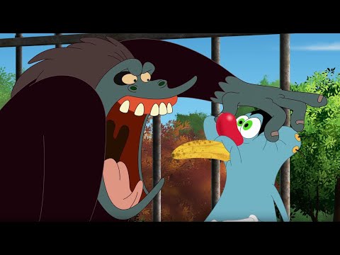 Oggy và những chú gián tinh nghịch | Tham quan sở thú THE ZOO | S07E630 | phim hoạt hình