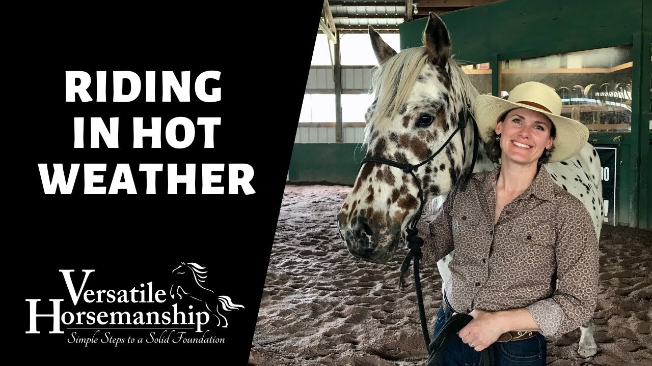 🔴 RIDING IN HOT WEATHER // Versatile Horsemanship YouTube