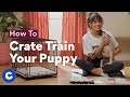 How To Crate Train a Puppy | Chewtorials