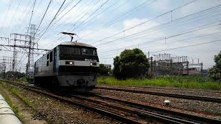 配6795レ　EF210-161[新](桃太郎)+コキ104 南武線川崎新町駅～八丁畷駅