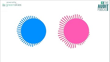 The Audit Podcast | Ep 234: AI Talks Data & Analytics (Feat. Monica Royal’s Article)