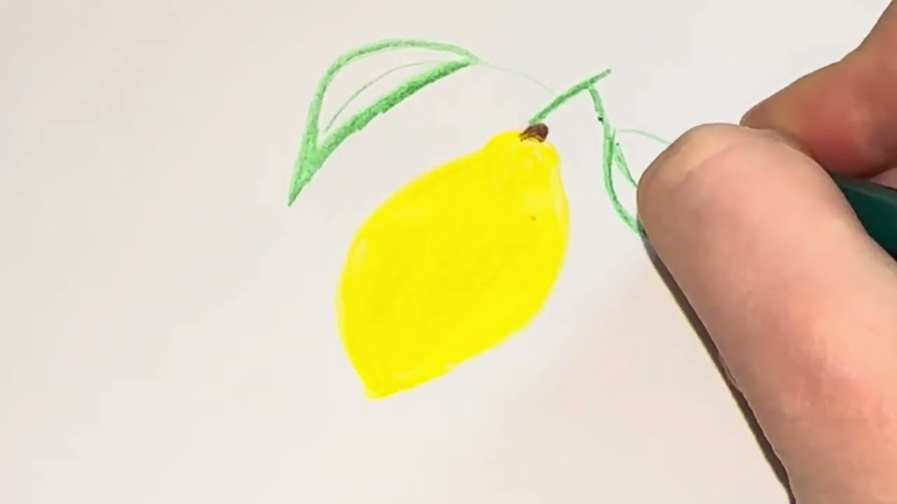 Lemon Drawing  Juice 