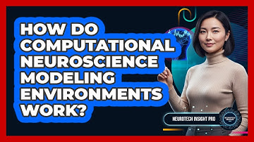 How Do Computational Neuroscience Modeling Environments Work?