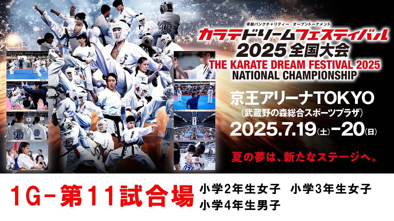 新極真会の大会パンフレット11冊＋カラテ入門 新極真会 空手】1G11試合場 型個人 小学2年生女子 小学3年生女子