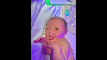 loop diggers video game music 2