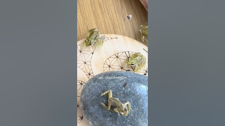 Ejercito de Ranas