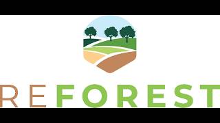 REFOREST in Collaboration with FORLIVS: An Introduction to the REFOREST Platform