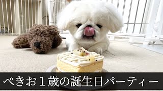 絶望孤独おじ、ぺきお1歳の誕生日パーティーをする