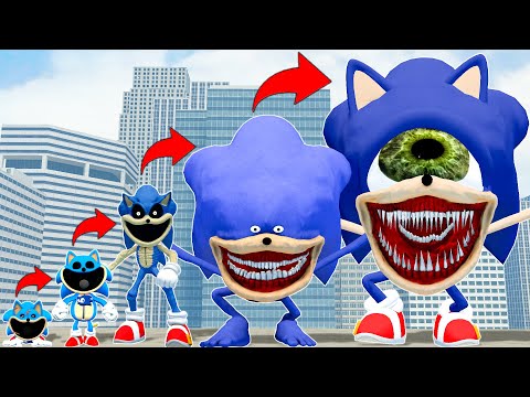 EVOLUTION OF NEW
