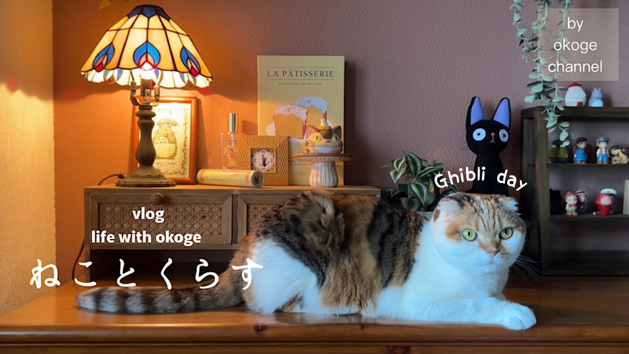 朝ごはんから始まる猫との日常/暮らしにジブリを取り入れて楽しむ【猫と暮らしのvlog】