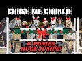 CHASE ME CHARLIE! HOW BIG CAN OUR 6 PONIES JUMP!