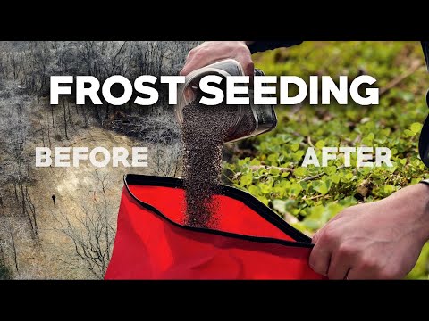 Frost Seeding 2024 Update - S2E3 - YouTube
