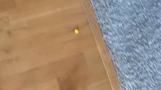 Ooo Piece Of Candy Family Guy Irl