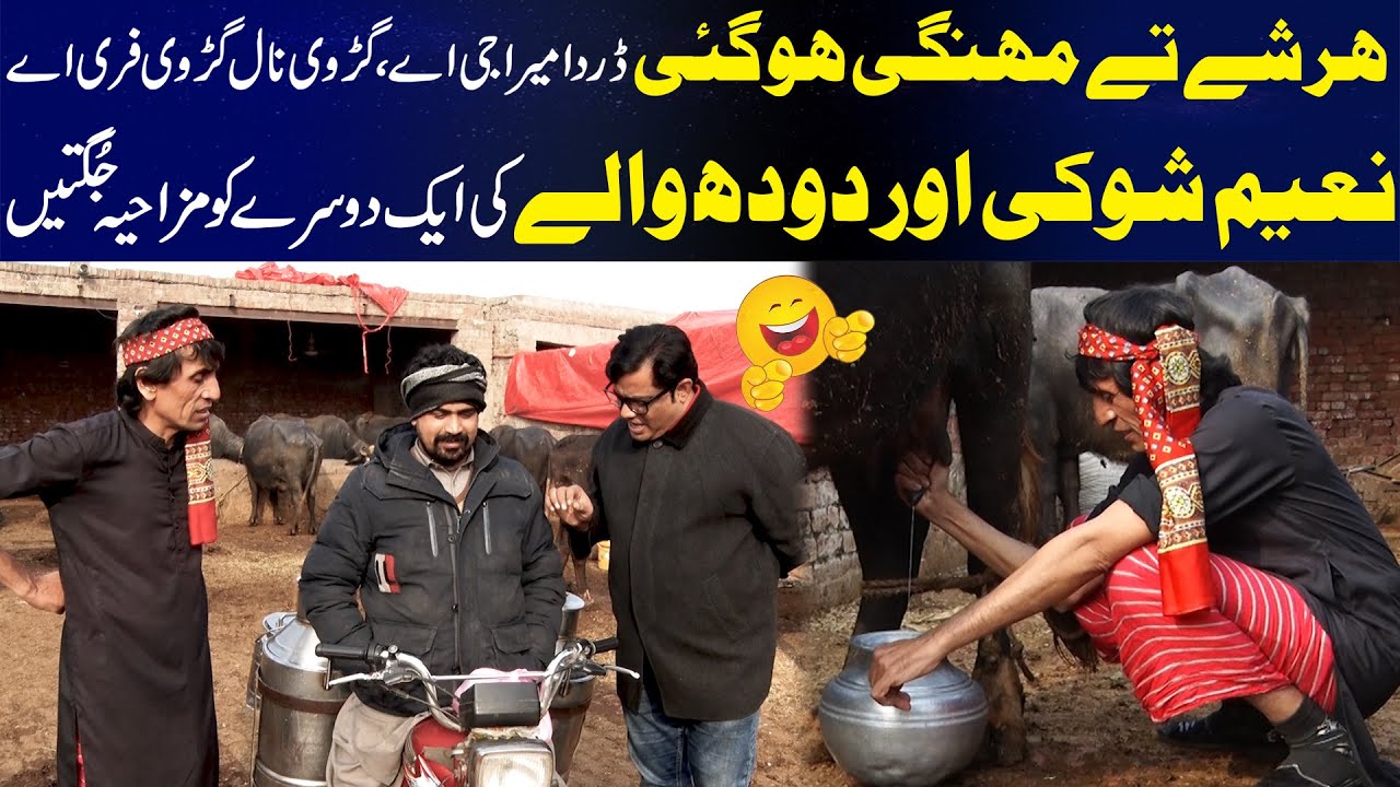 Naeem Shoki Aur Doodh Waly Ki Aik Dusre Ko Mazahiya Jugtein | Funkarian