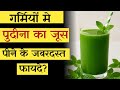 गर्मी में पुदीना का जूस पीने के फायदे | Mint Juice Benefits |