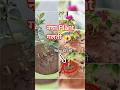 Naya Plant Lagate Waqt Ye Galti Mat Karna ❌ Root Grow Nahi Hogi | Gardening Tips #shorts