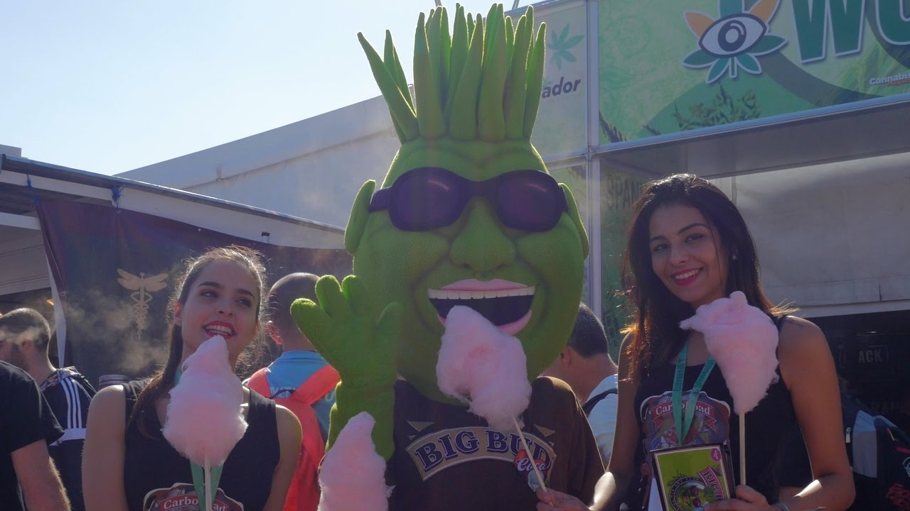 Spannabis - Europe's Biggest Hemp Trade Show | Vlog 01