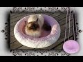 DIY 😻 4 in 1 Häkel Körbchen, Liegemulde, Schaukel für Katzen & Hunde | Crochet for Cat