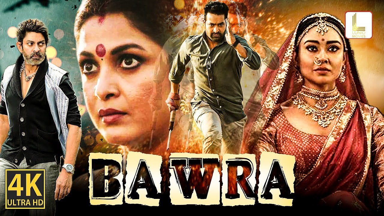 Bawra | South Hindi Dubbed Superhit Full Hindi Movie | Jr. NTR, Genelia ...