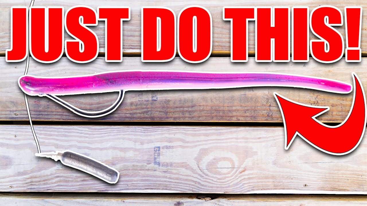 How to Fish a Dropshot Better Than 99% of Fisherman!