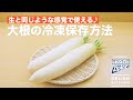 生と同じような感覚で使える♪大根の冷凍保存方法｜ How to keep Radish in a freezer