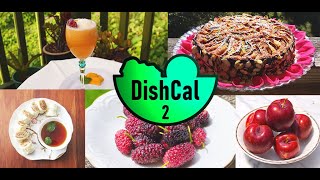 DishCal 2 - Calorie and Diet Tracker and Calculator for Android screenshot 5