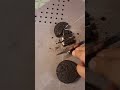 Puding and oreo🍩🥮