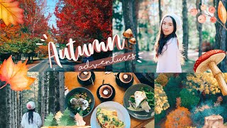 Autumn Adventures | Breenhold Gardens, Mount Wilson Vlog 🍁