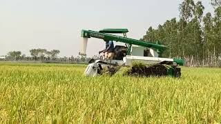 BanglaMark Marksan MS-708 Head Feeding Combine Harvester | #banglamark #banglamarkagro