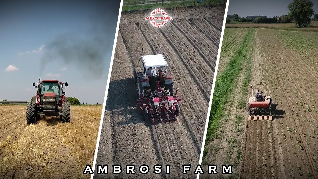 The Radicchio Saga - Ep. 01 feat. AMBROSI FARM