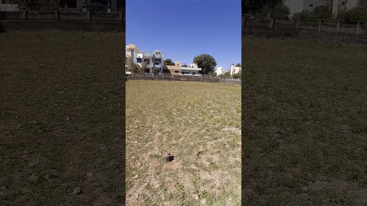 10000 Sqft Plot Rent Available Udaipur