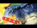 Il GIOCO del SILENZIO 🤫 Vastatore sfida Arex e gli altri Dinosauri del Parco a stare zitti 🤐