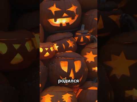 Почему на Хэллоуин режут тыкву? 🎃 #научпоп #история #праздник #31октября #вырезать #halloween #снг