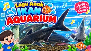 Lagu anak ikan | ikan aquarium | ikan kecil
