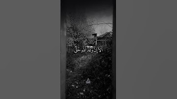 القارئ الشيخ حسن صالح | قرآن كريم بصوت جميل