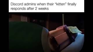 Discord admins when their “Kitten” finally responds after 2 weeks