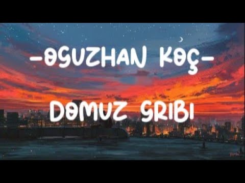 Oğuzhan Koç - Domuz Gribi (lyrics)