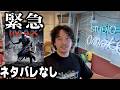超最高。激賞。「オデュッセイア」ネタバレなし緊急感想レビュー【おまけの夜】