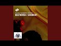 Miniature de la vidéo de la chanson Symphony No. 8 In B Minor, D. 759 “Unfinished”: Ii. Andante Con Moto