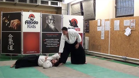 ushiro ryotedori shihonage [TUTORIAL] Aikido empty hand advanced techniques