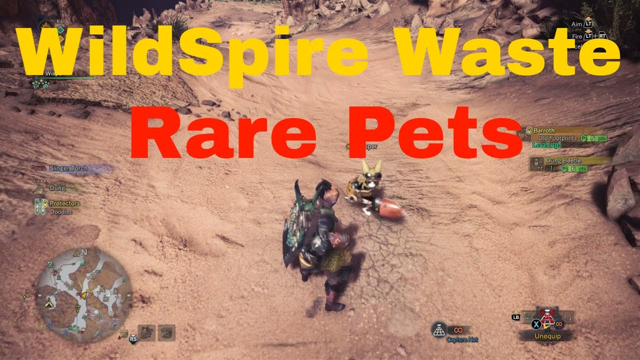 Monster Hunter World: Rare Pets Wild Spire Waste Guide