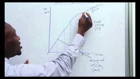 THEORY OF CONSUMER BEHAVIOUR 1